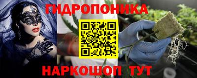 дмт Моздок