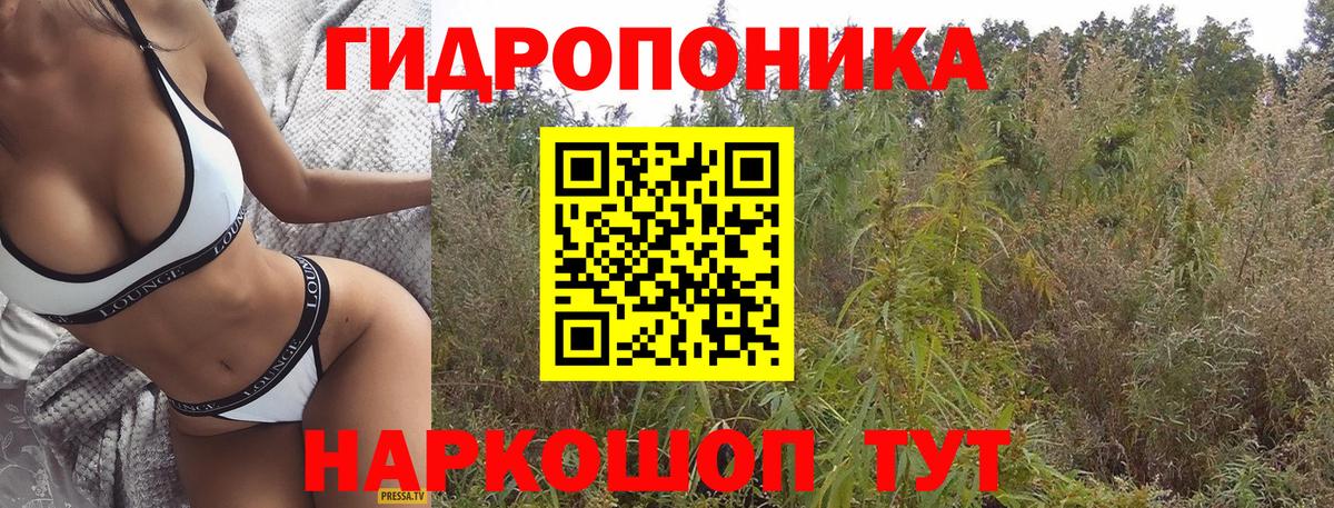 Бошки Шишки Bruce Banner  Бошки марихуана VHQ  Сосновоборск  Марихуана марихуана  Вход с VPN 